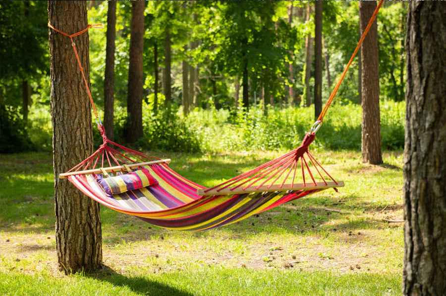 HAMMOCK SEASON