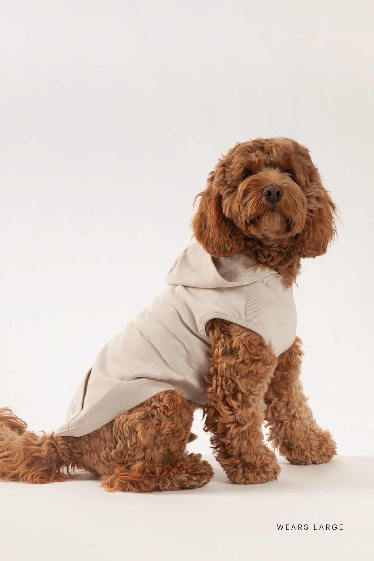 French Terry Lightweight Dog Hoodie