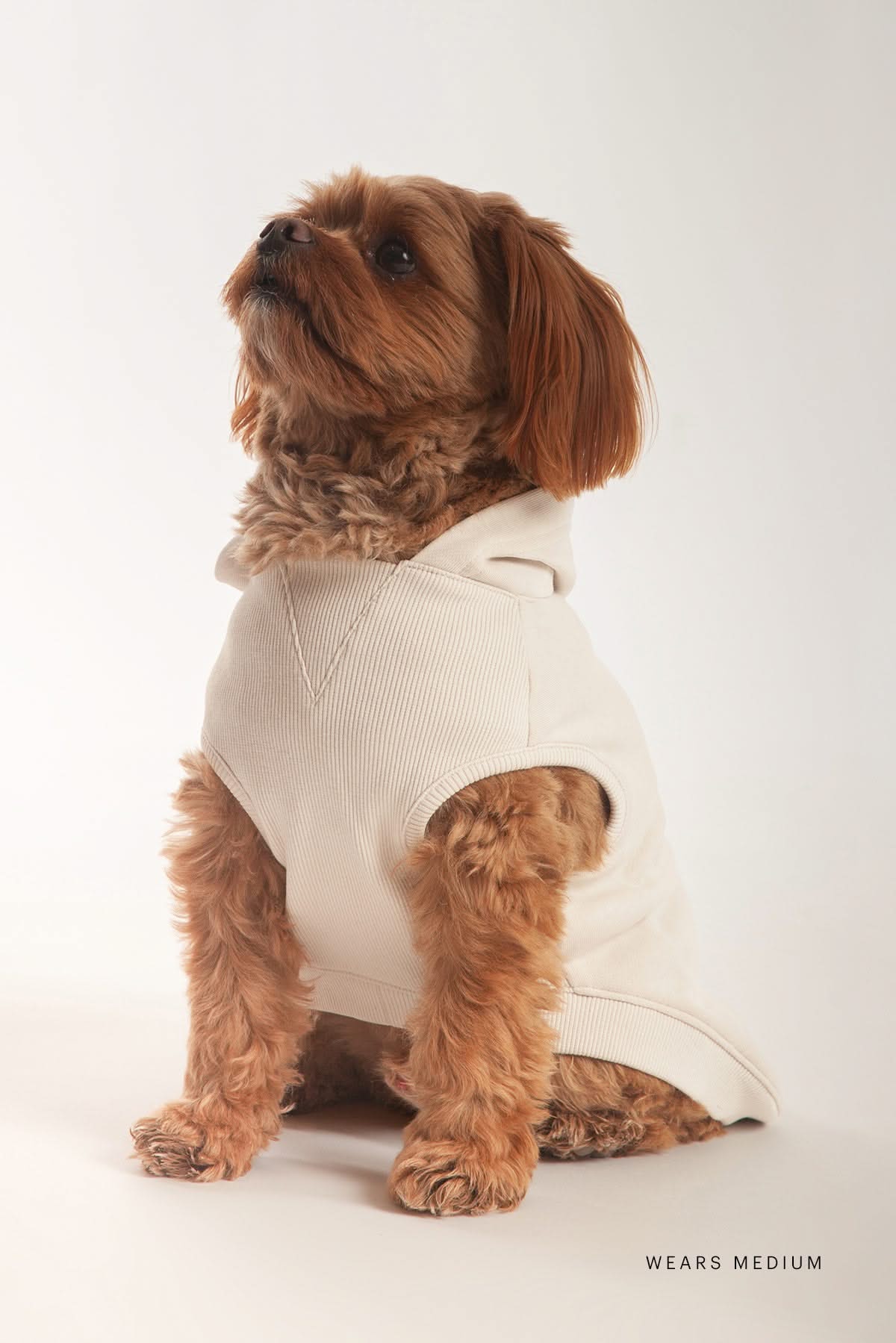French Terry Lightweight Dog Hoodie