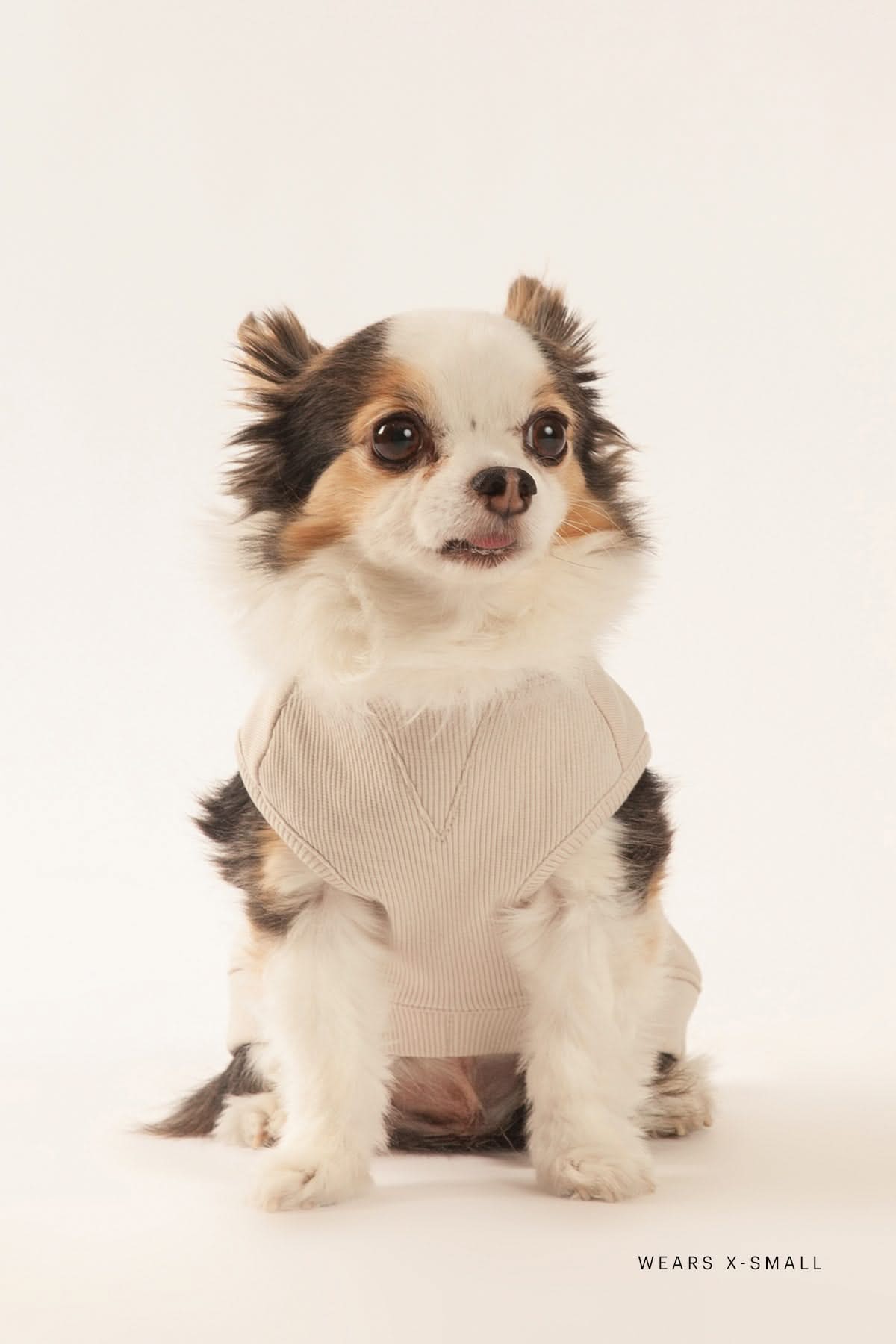 French Terry Lightweight Dog Hoodie