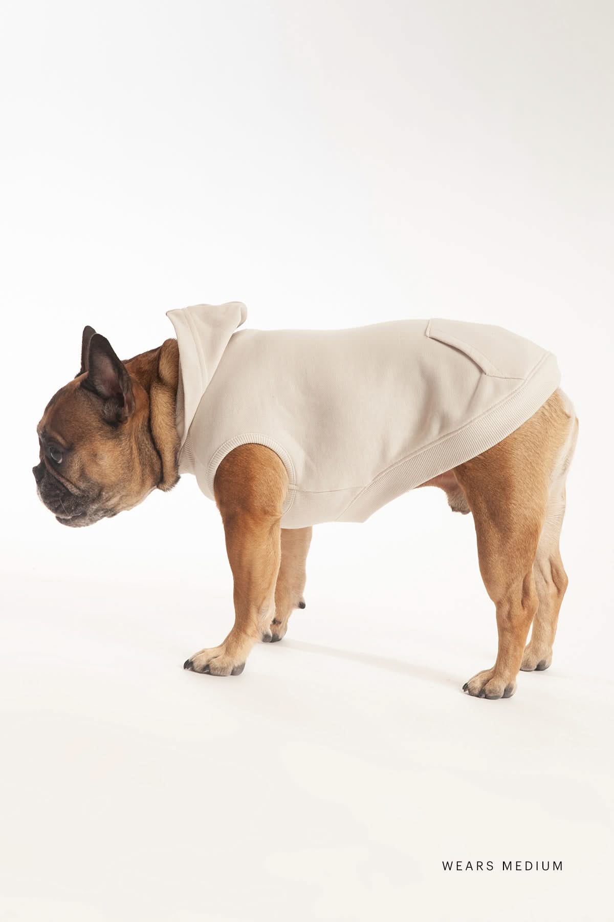 French Terry Lightweight Dog Hoodie