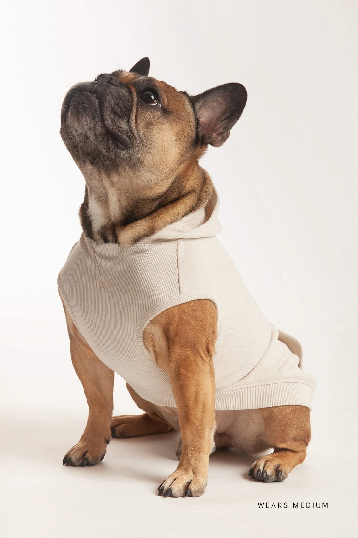 French Terry Lightweight Dog Hoodie