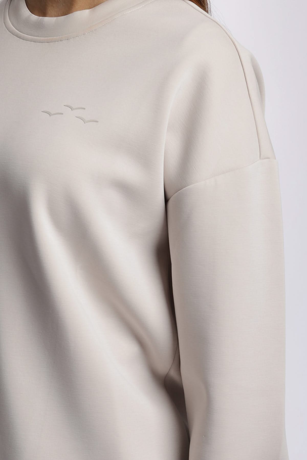 Premium luxe sueded double knit crewneck sweatshirt in bone