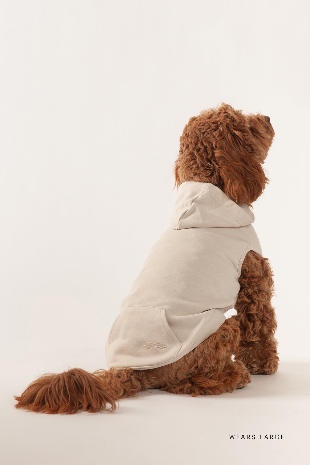 French Terry Lightweight Dog Hoodie