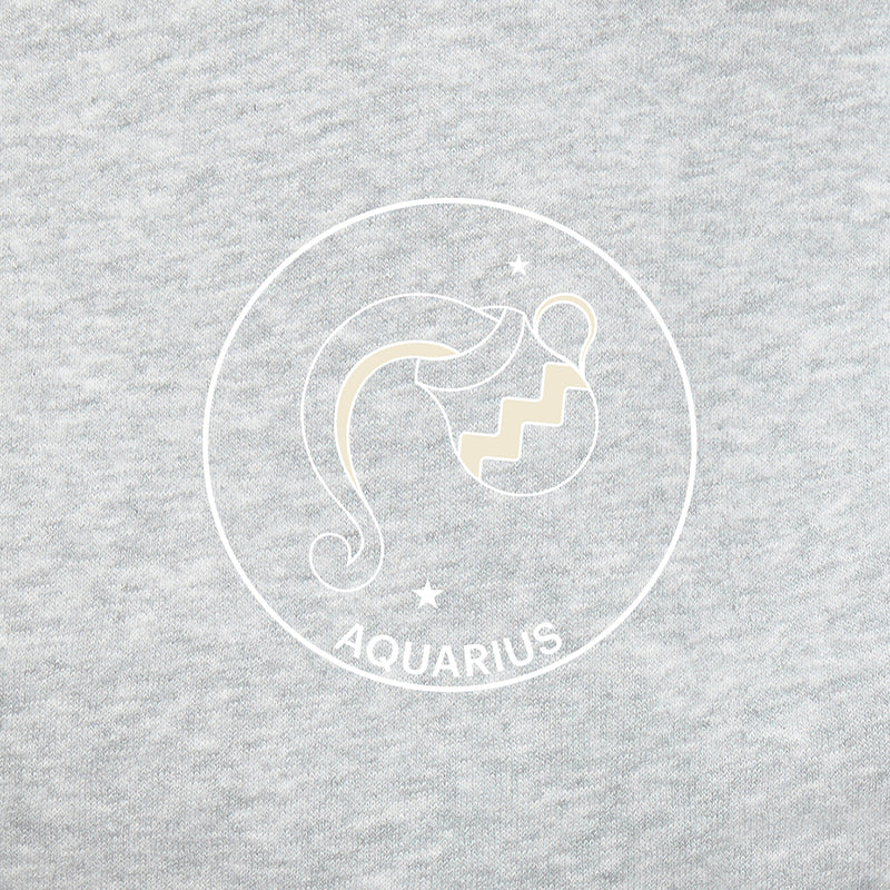 Sweat à capuche Zodiac en gris classique
