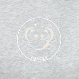 Sweat à capuche Zodiac en gris classique