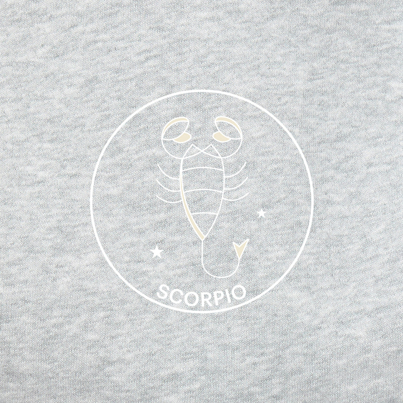 Sweat à capuche Zodiac en gris classique