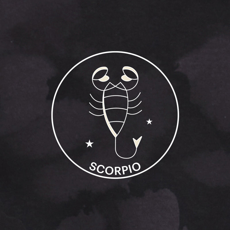 Sweat à capuche Zodiac en éponge noire